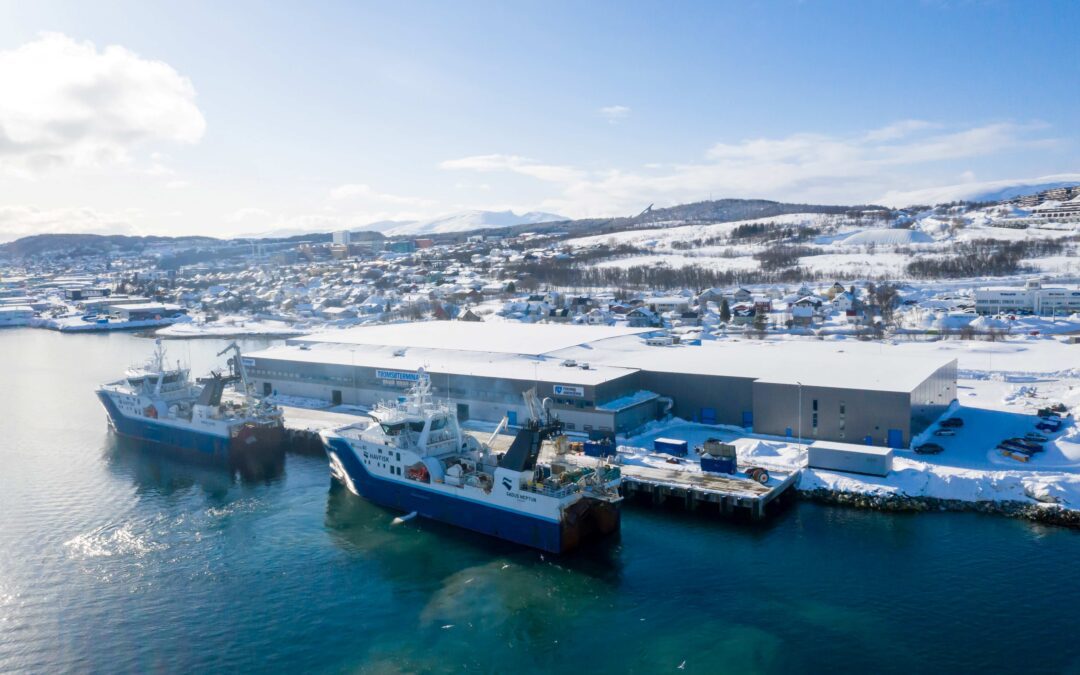 Admininstrerende direktør | Tromsøterminalen