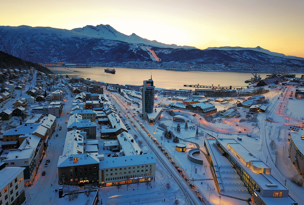 Leder Ofoten | Museum Nord