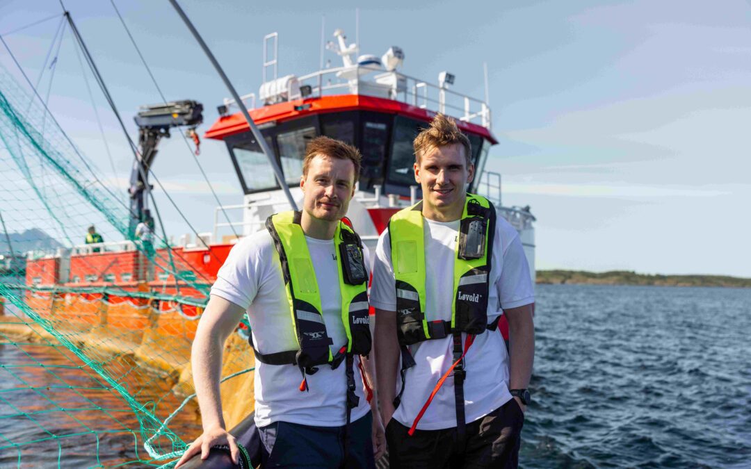 Systemutvikler Junior og Senior | Løvold System