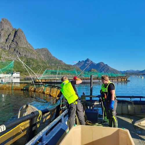 IMG_20250909_105429502